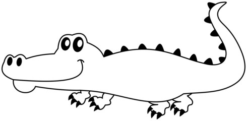 Fototapeta premium a crocodile in shadow