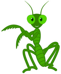 a cute grasshopper dance