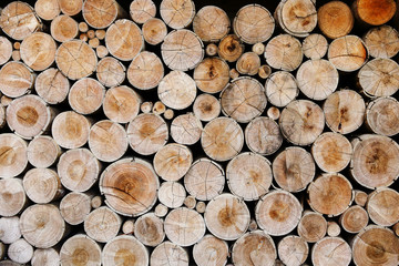 wood logs for industry