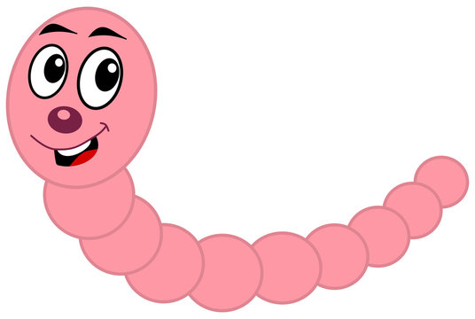 pink earthworm