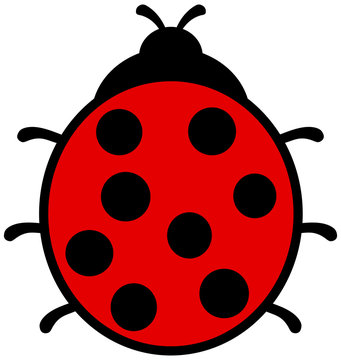 a ladybug back view