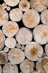 wood logs for industry