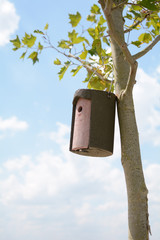 Bird house in tree