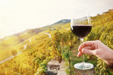 Glass of red wine. Lavaux region, Switzerland