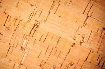 Wooden pith a texture