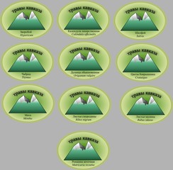 логотип " травы Кавказа"