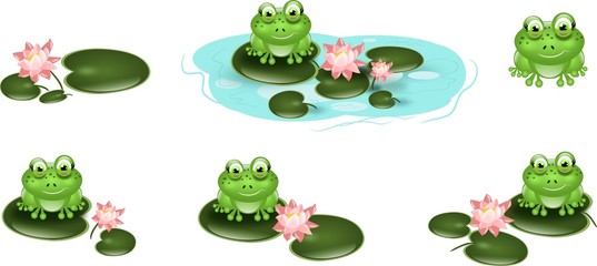 Set of cute green frogs on waterlily