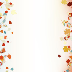 Beautiful autumn Leaves.