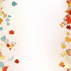 Beautiful autumn Leaves.