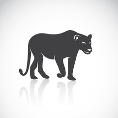 Naklejka premium Vector image of an female lion