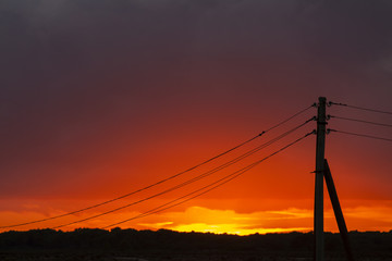 Telegrafenleitung im Sonnenuntergang
