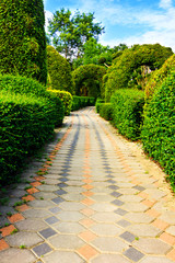 Pathway in garden design.