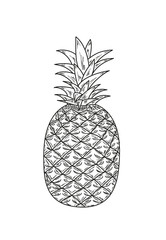 ananas, sketch