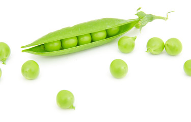 Pea pod isolated