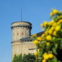 Botanischer Garten Karlsruhe