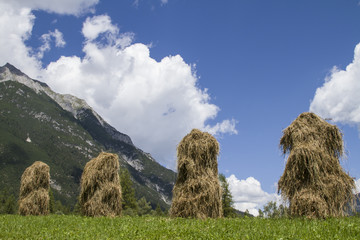 Heumanndln in Tirol