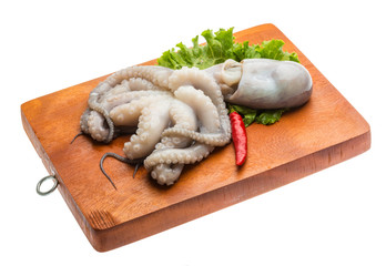 Raw octopus