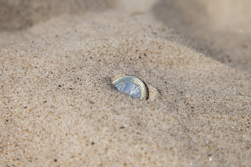 Fototapeta na wymiar Coin in sand.