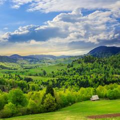 meadow on  hillside meadow in mountain