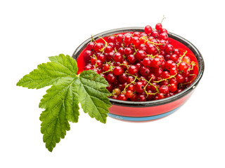 Red currant