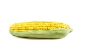 ear of corn isolated on a white background