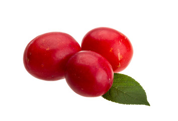 Damson plum