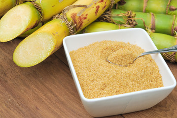 Close up Sugar and sugarcane