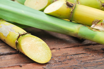 Close up Sugarcane