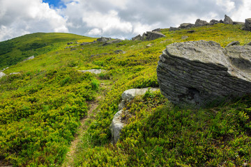 stones on the hillside