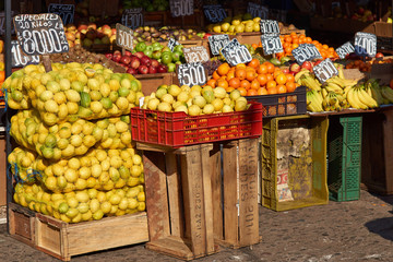 Central Market (La Vega) in Santiago, Chile