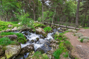 Fototapeta na wymiar Cairngorms National Park #5, Scotland
