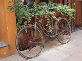 Fototapeta na wymiar vieux vélo
