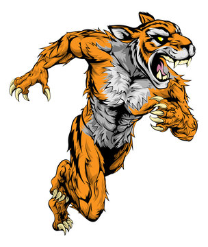 Tiger Sports Mascot Running