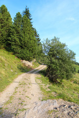 Fototapeta na wymiar Mountain Path