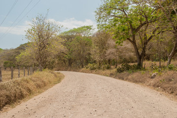 Fototapeta na wymiar Gravel Road in Costa Rica