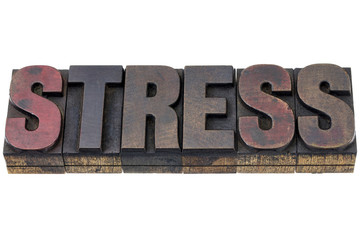 stress word in wood type