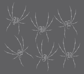 spiderweb theme