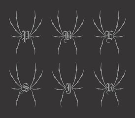 spiderweb theme