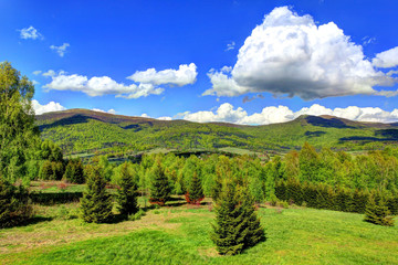 Bieszczady Mountains in HDR technique, Poland