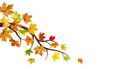 Branch with autumn maple leaves, vector illustration.