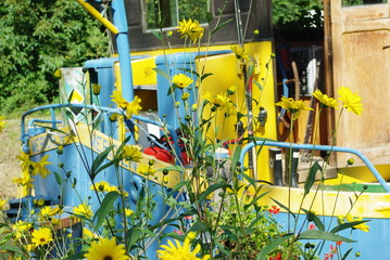 Fleur revire et bateau