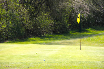 Obraz premium Flag on the golf field