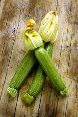 Cucurbita pepo Abobrinha Zucchina Тыква обыкновенная