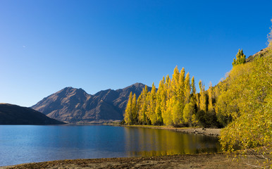 Picturesque landscape