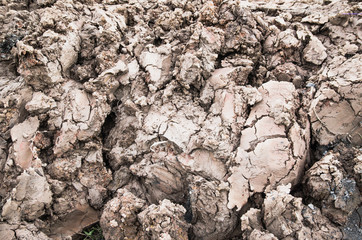 Country dirt rut after rain