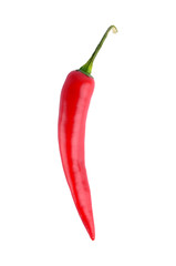 Red hot chili pepper