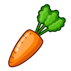 Carrot isolated illustration
