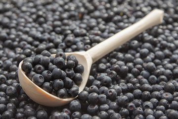 Background of blueberries and a wooden spoon with blueberries in