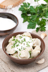 traditional Russian dumplings with sour cream and dill in a bowl