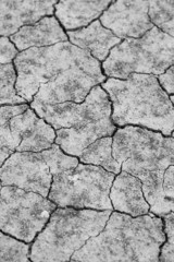 Cracked soil ground